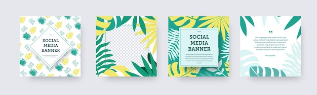 Set van vector vierkante sociale media banners met groene gele palmbladeren exotische tropische planten geïsoleerd op een witte achtergrond