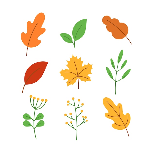 Set van vectorbeelden van rode gele oranje herfstbladeren