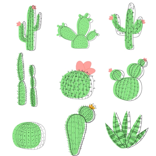 Set van vectorillustraties met platte cactus felle kleuren Platte illustratie en contourherhaling