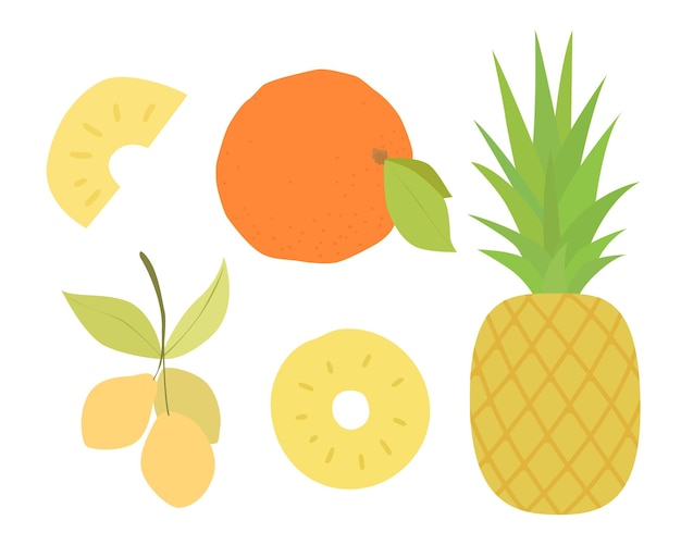 Set van vectorvruchten. ontwerp van sinaasappel, kersenpruim, ananas, ananasschijfje