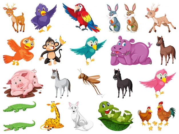 Set van veel schattige dieren