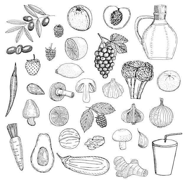 Set van veganistisch eten vector illustratie schets