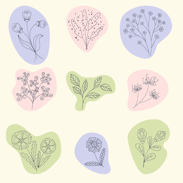 Vector set van verschillende bladeren en bloemen abstracte vormen lijntekeningen hedendaagse handgetekende illustraties