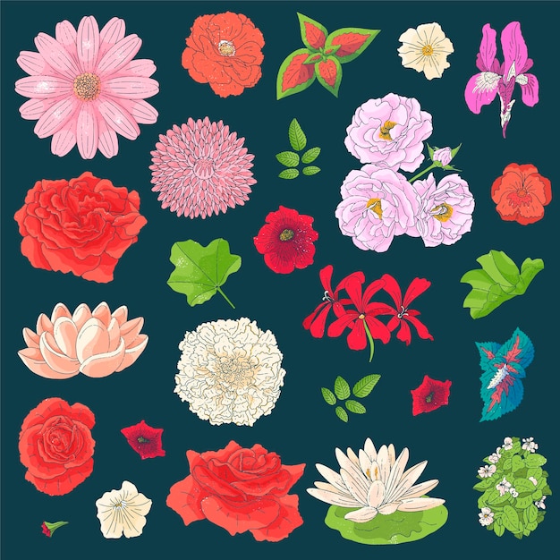 Set van verschillende bloemen in doodle schets stijl. Hand getekende elementen