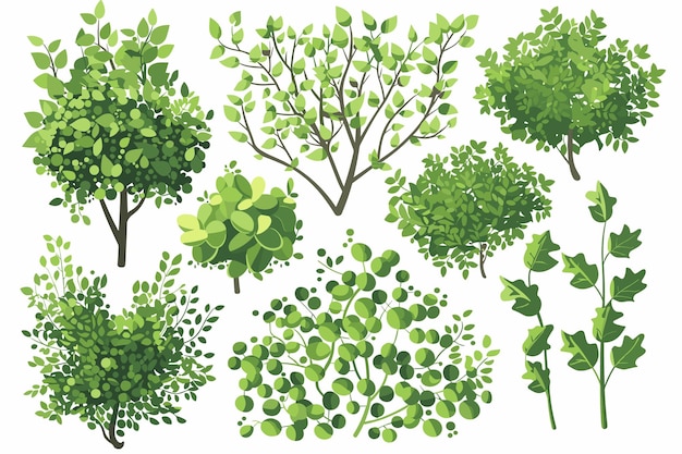 Set van verschillende bomen met groene bladeren