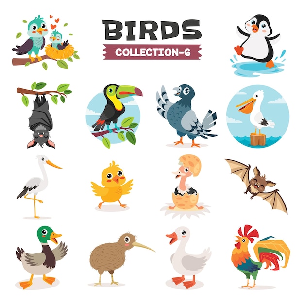 Vector set van verschillende cartoonvogels