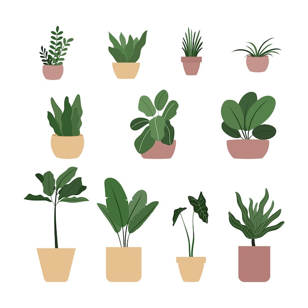 Vector set van verschillende planten in pot