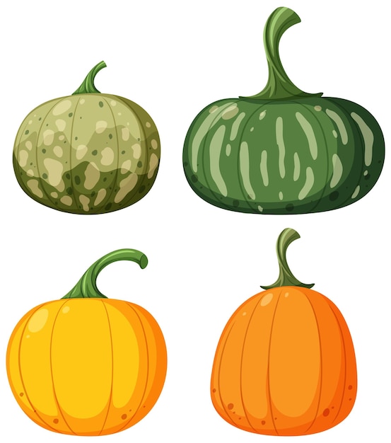 Set van verschillende pompoenen vector