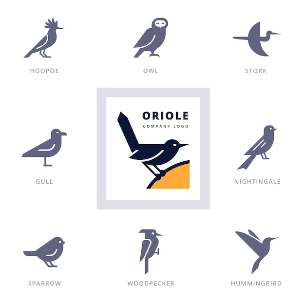 Vector set van verschillende vogel pictogram en logo-ontwerpelementen voor bedrijf. collectie iconen met vogels.