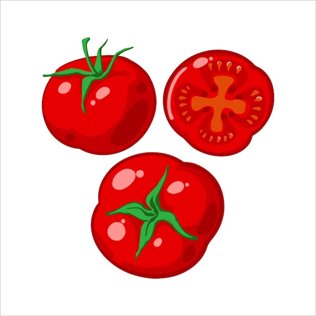 Set van verse rijpe rode tomaten, tomatenplak. Vectorillustratie geïsoleerd op witte achtergrond.