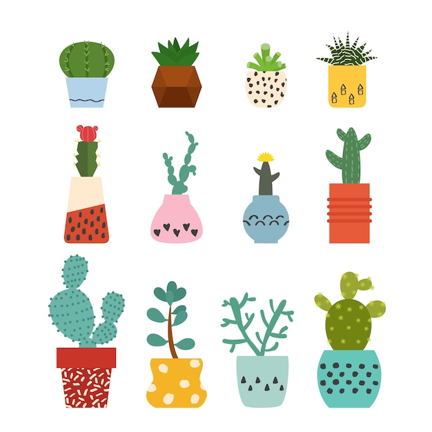 Set van vetplanten en cactussen