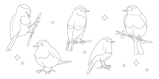 Set van vijf vogels getekend met een contour om in te kleuren Set voor de creativiteit van kinderen Silhouetten