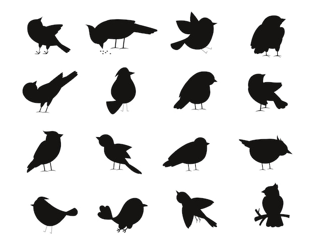 Set van vogels geïsoleerde vector silhouetten