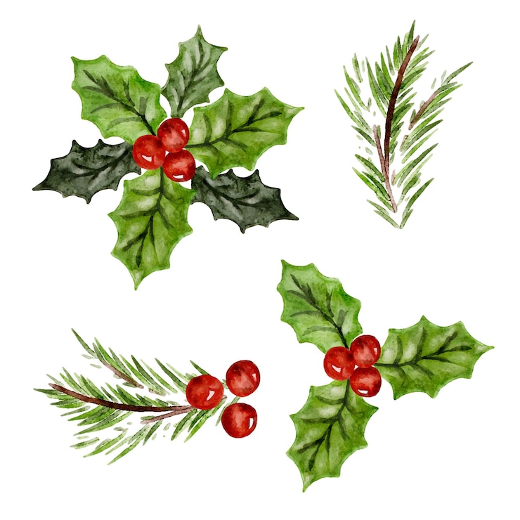 Vector set van waterverf kerstversieringen met dennen takken en holly bessen ontwerp elementen