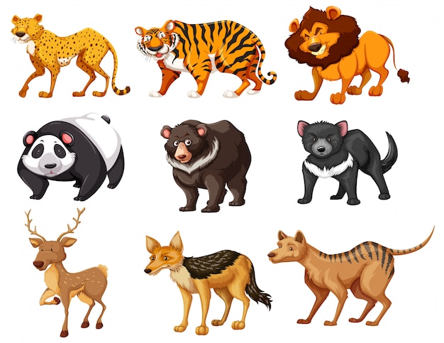 Set van wilde dieren