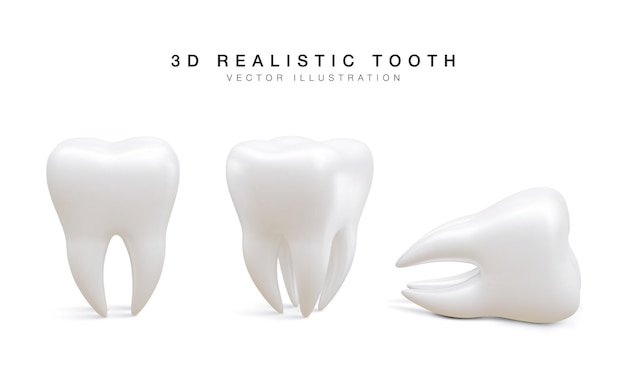 Set van witte tand in verschillende positie geïsoleerd op een witte achtergrond Concept van tandheelkundig onderzoek van tanden tandheelkundige gezondheid en hygiëne Vectorillustratie