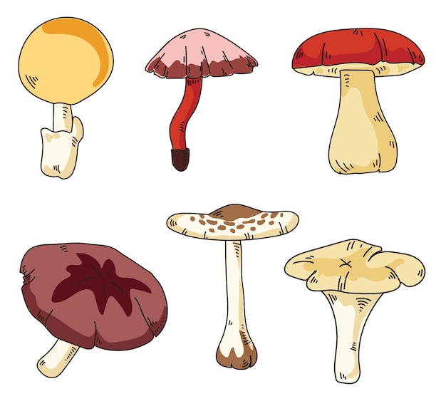 Set van zes verschillende paddestoelen geïsoleerd op een witte achtergrond platte vectorillustratie