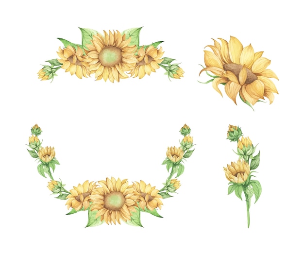Set van zonnebloem aquarel bloemen illustratie