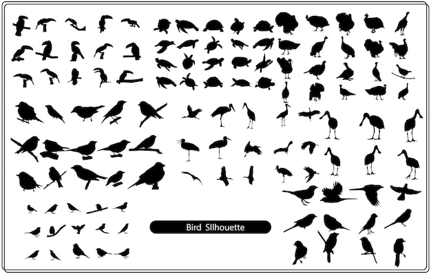 Set van zwarte geïsoleerde silhouetten van kraaien. Collectie van verschillende vogels positie.