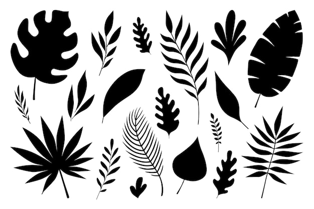 Set van zwarte silhouetten van tropische bladeren, palmen en bomen