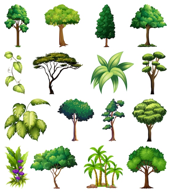 Set of variety plants and trees