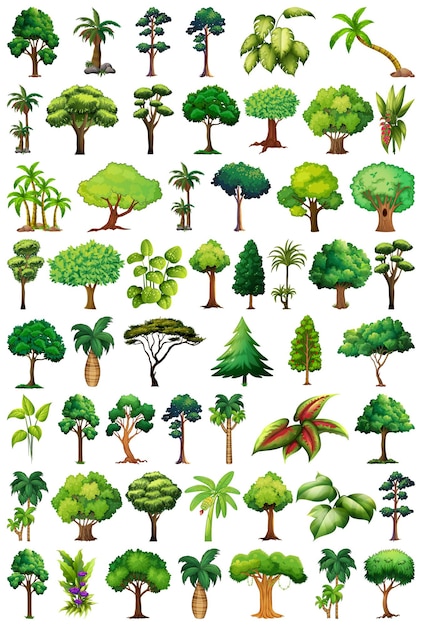 Set of variety plants and trees