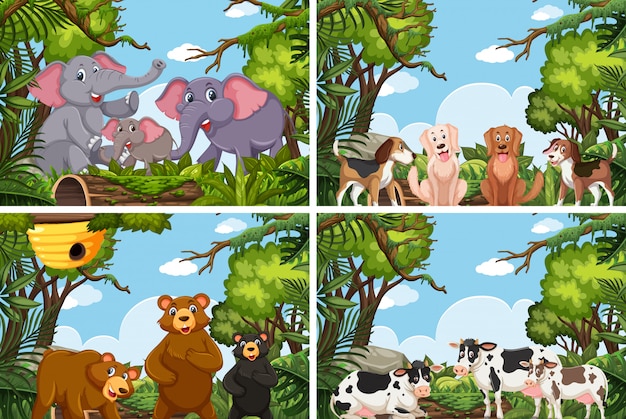 Набор различных животных в природе сцен