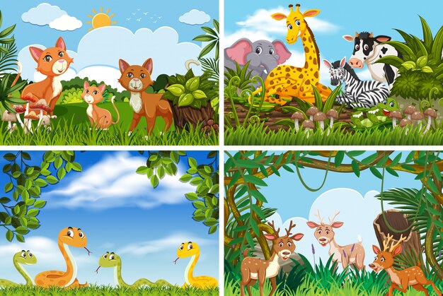 Set of various animals in nature scenes