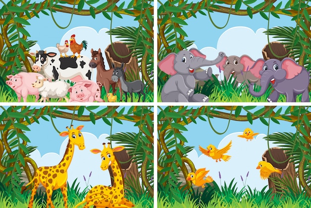 Vector set of various animals in nature scenes