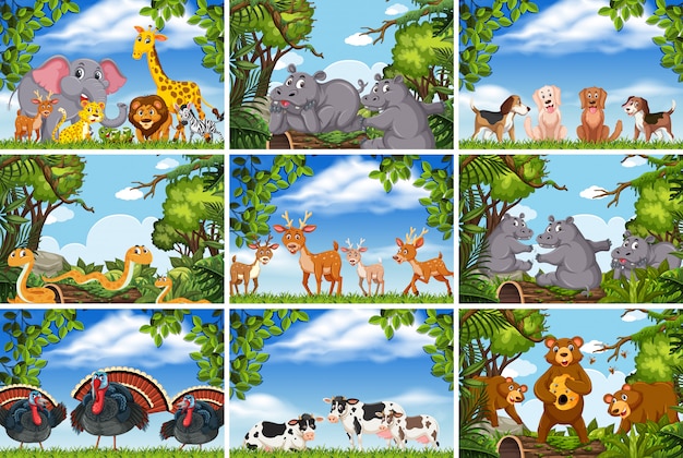 Vector set of various animals in nature scenes