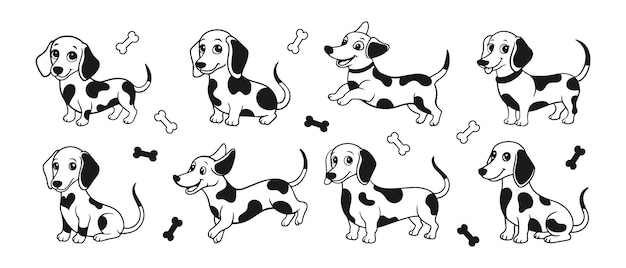 Set di vari cani dachshund caricaturistici carini cani dalmati su uno sfondo bianco vettore