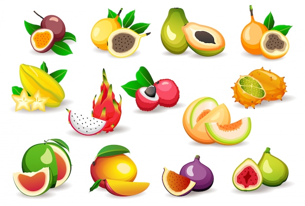 Set of various exotic fruits isolated on white background, flat style s. vegetarian food