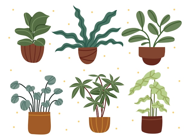 Vector set of various houseplants home decor cozy plants clay pots