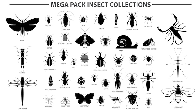 set of various insect in silhouette with insect name eps vector