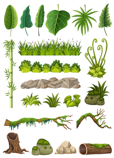 Vector set of various jungle objects