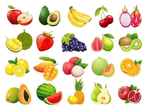 Set of various kinds of fruit illustrations