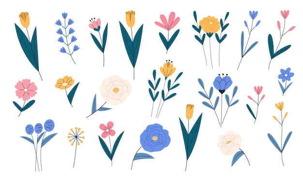 Набор различных минималистичных красивых садовых и полевых цветов на белом фоне