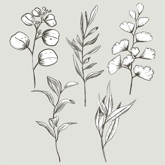 Set of various modern hand drawn foliage and greenery in sketch style