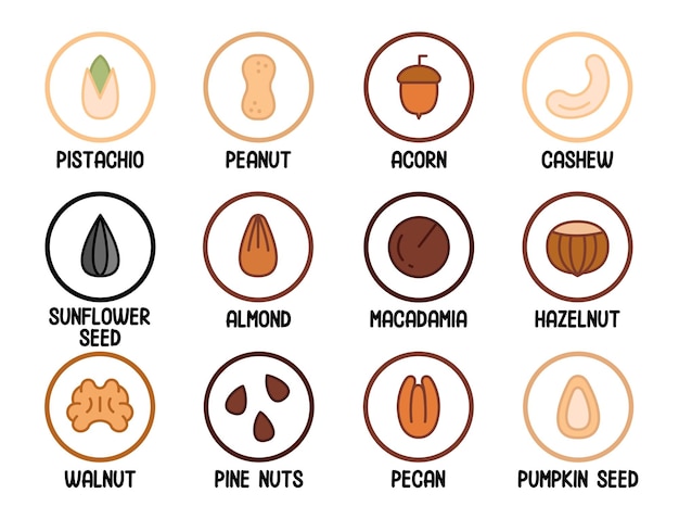 Set of various nuts and seeds A set of nuts in circles with their names Concept of healthy eating