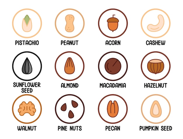 Vector set of various nuts and seeds a set of nuts in circles with their names concept of healthy eating