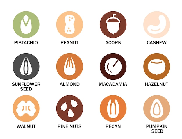 Set of various nuts and seeds with their names Nuts seeds grains and legumes icon set Flat style