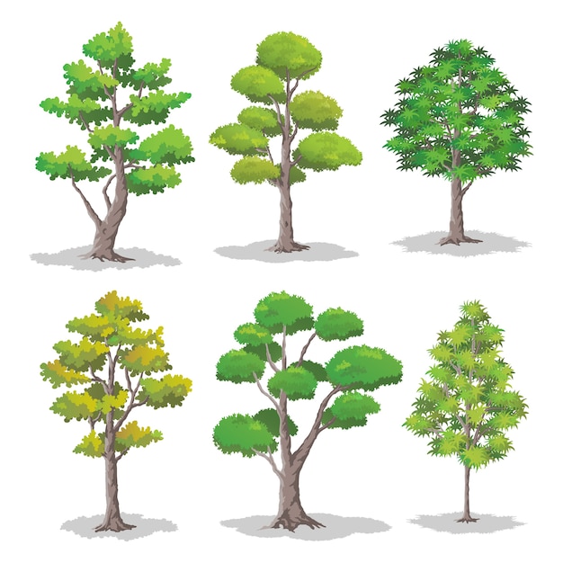 Vector set of various shapes of trees