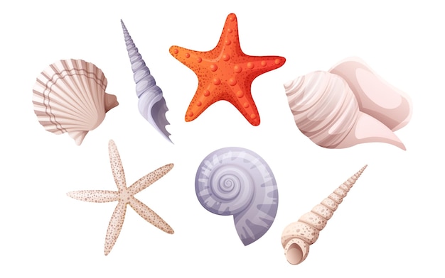 Set of various shells spiral shell clam starfish Beach illustration marine concept