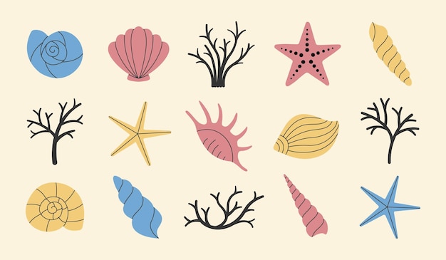 Set of various simple sea shells starfish and corals