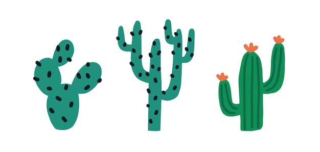 Set of various spiny desert plants or cactuses with thorns. exotic cacti with spines and blossomed flowers. colored flat simple vector illustration isolated on white background.