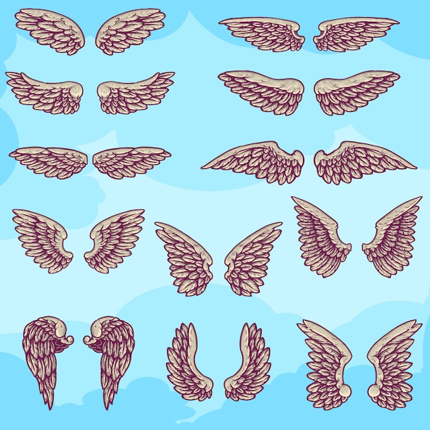 Vector set of various wings