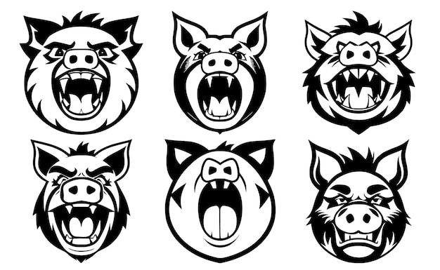 Set varkenskoppen met open mond en ontblote hoektanden met verschillende boze uitdrukkingen van de snuit Symbolen voor tattoo-embleem of logo geïsoleerd op een witte achtergrond