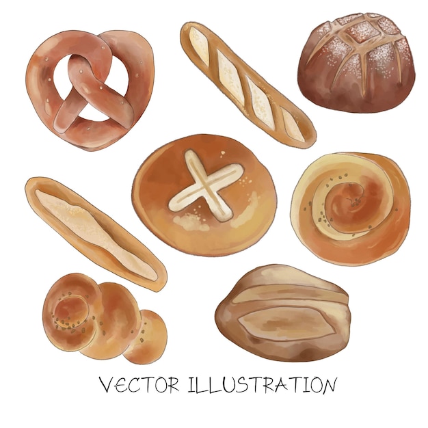 Vector set of vector bakery coffee illustration with watercolor on white background