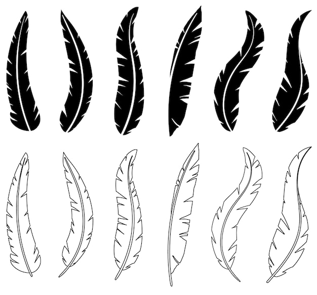 ベクトルの黒い羽のシルエットのセット手描きの輪郭の輪郭の羽のセット