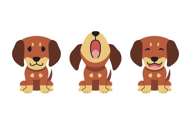 Vector set of vector cartoon character cute dachshund dog